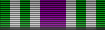 Distinguished Cadet n-1-9 ribbon